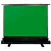 Экраны для проекторов: Экран Cactus CS-PSGFE-200X150 GreenFloorExpert, 150x200см, 4:3 фотографии