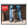 Экраны для проекторов: Экран Sakura Wallscreen 1:1 SCPSW-183x183 183x183 см, настенно-потолочный рулонный белый, 102" фотографии