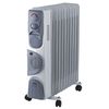 Масляные радиаторы: Радиатор масляный OASIS BB-25T фотографии