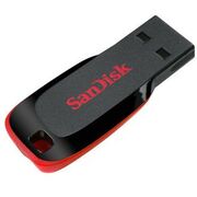 USB флешки: USB Flash Drive SanDisk Cruzer Blade 32Gb USB2.0, RTL [SDCZ50-032G-B35] фотографии