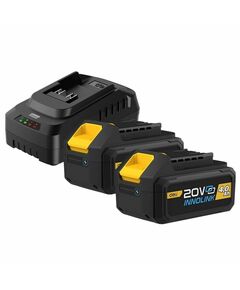 Набор аккумулятор и зарядное устройство Deli DL-CM20A4E 2АКБ 20V 4А*ч + ЗУ 2A, 20V фотографии