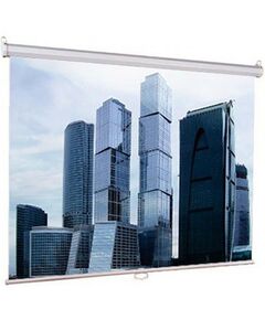 Купить Экран Lumien Eco Picture 200x200см, Matte White [LEP-100103] в компании Зеон