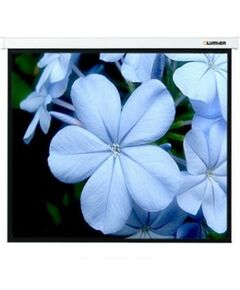 Экраны для проекторов: Экран Lumien Master Picture 120" NTSC MW 183 x 244cm 120", 4:3 [LMP-100110] фотографии