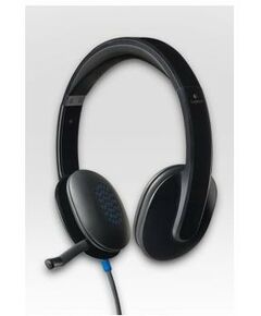 Купить Наушники с микрофоном Logitech Headset H540 USB, с рег. громкости [981-000480] в компании Зеон