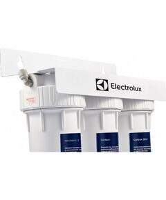 Фильтры для воды: Фильтр для очистки воды Electrolux AquaModule Carbon 2in1 Prof фотографии