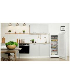 Морозильные камеры: Морозильник Indesit DSZ 4150.1 фотографии