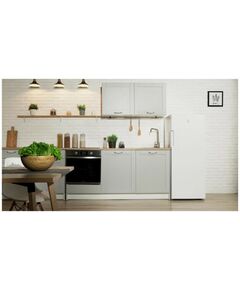 Морозильные камеры: Морозильник Indesit DSZ 4150.1 фотографии
