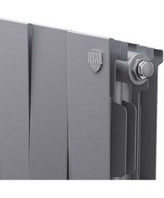 Радиаторы: Радиатор Royal Thermo PianoForte 200 /Silver Satin 18 секций [RTPSS20018] фотографии