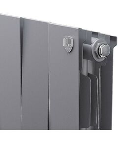 Радиаторы: Радиатор Royal Thermo PianoForte 200 /Silver Satin 16 секций [RTPSS20016] фотографии