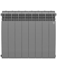 Радиаторы: Радиатор Royal Thermo BiLiner 500 /Silver Satin 8 секций [RTBSS50008] фотографии