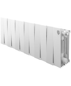 Радиаторы: Радиатор Royal Thermo PianoForte 200 /Bianco Traffico 12 секций [RTPBT20012] фотографии