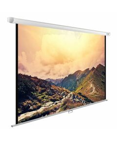 Купить Экран настенно-потолочный рулонный Cactus CS-PSWE-240x180-WT WallExpert, 180x240см, 4:3 в компании Зеон