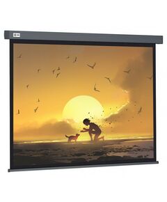 Купить Экран настенно-потолочный рулонный Cactus CS-PSW-124X221-SG Wallscreen, 124.5x221см, 16:9, серый в компании Зеон