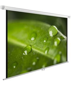 Купить Экран настенно-потолочный рулонный Cactus CS-PSWE-200x150-WT WallExpert, 150x200см, 4:3 в компании Зеон