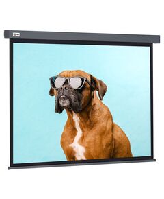 Купить Экран настенно-потолочный рулонный Cactus CS-PSW-149X265-SG Wallscreen, 149.4x265.7см, 16:9, серый в компании Зеон