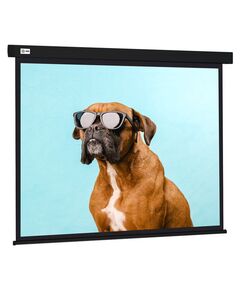 Купить Экран настенно-потолочный рулонный Cactus CS-PSW-183X244-BK Wallscreen, 183x244см, 4:3, черный в компании Зеон