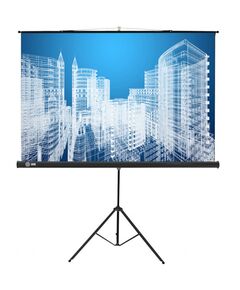 Купить Экран напольный рулонный Cactus CS-PST-104x186 Triscreen, 104.4x186см, 16:9, черный в компании Зеон