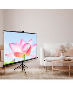 Купить Экран напольный рулонный Cactus CS-PST-104x186 Triscreen, 104.4x186см, 16:9, черный, изображение 2 в компании Зеон