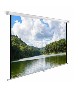 Купить Экран настенно-потолочный рулонный Cactus CS-PSWE-240x150-WT WallExpert, 150x240см, 16:10 в компании Зеон