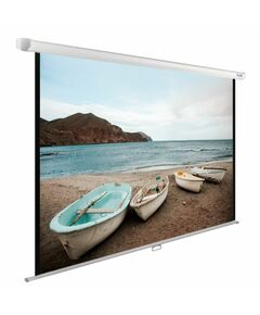 Купить Экран настенно-потолочный рулонный Cactus CS-PSWE-220x138-WT WallExpert, 138x220см, 16:10, белый в компании Зеон