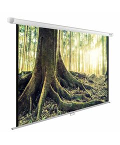 Купить Экран настенно-потолочный рулонный Cactus CS-PSWE-220x220-WT WallExpert, 220x220см, 1:1 в компании Зеон