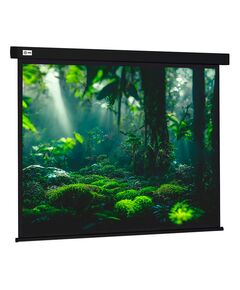 Купить Экран настенно-потолочный рулонный Cactus CS-PSW-213X213-BK Wallscreen, 213x213см, 1:1, черный в компании Зеон