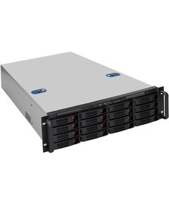 Купить Exegate Pro 3U660-HS16 RM 19", высота 3U, глубина 660, Redundant БП Chicony 2x550W, 16xHotSwap, USB [EX296241RUS] в компании Зеон