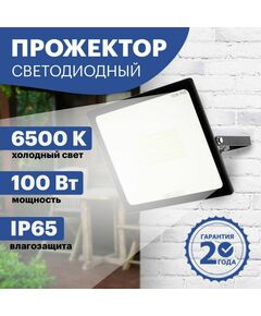 Осветительные приборы: Прожектор светодиодный Rexant 605-005 LED 100Вт IP65 6500K фотографии