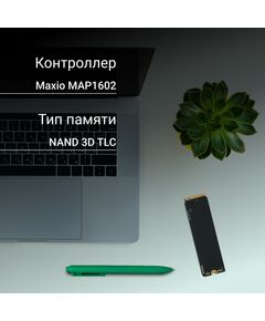 Купить SSD-накопитель Digma 1Tb Meta M6 PCIe 4.0 x4 M.2 2280 [DGSM4001TM63T], изображение 8 в компании Зеон