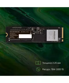 Купить SSD-накопитель Digma Pro 4Tb Top P6 PCIe 5.0 x4 M.2 2280 [DGPST5004TP6T4], изображение 6 в компании Зеон