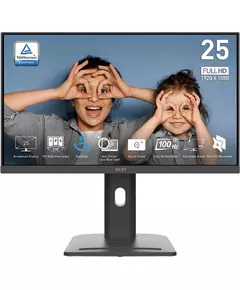 Купить ЖК-монитор MSI Pro MP253P 24.5" IPS LED 16:9 HDMI M/M HAS Piv 300cd 178гр/178гр 1920x1080 100Hz VGA DP FHD 2.7кг черный [9S6-3PC79H-055] в компании Зеон