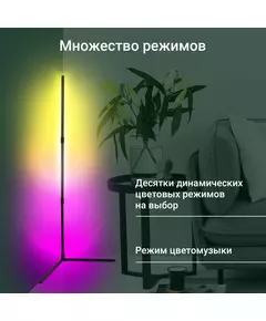 Купить Умный светильник Digma FL11 FloorLight, напольный, черный, изображение 3 в компании Зеон