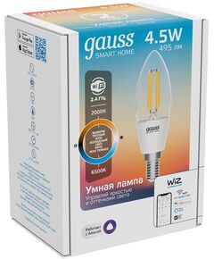 Купить Умная лампа Gauss Smart Home C35 E14 4.5Вт 495lm Wi-Fi [1250112], изображение 6 в компании Зеон