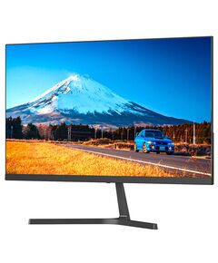 Купить ЖК-монитор SunWind SM-24FI221 23.8" IPS LED 16:9 HDMI M/M матовая 250cd 178гр/178гр 1920x1080 100Hz G-Sync VGA DP FHD 3.0кг черный [SM24SB01] в компании Зеон