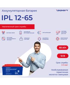 Купить Батарея для ИБП Ippon IPL12-65 12В 65Ач, изображение 2 в компании Зеон