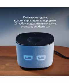 Купить Умная колонка Sber Boom Home Салют серый 8W Mono BT/Wi-Fi (без.бат) [SBDV-00171G], изображение 20 в компании Зеон