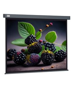 Купить Экран Cactus CS-PSW-127X127-SG 127x127см Wallscreen 1:1 настенно-потолочный рулонный серый, изображение 2 в компании Зеон