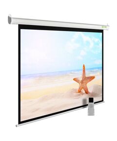 Купить Экран Cactus CS-PSSME-280X175-WT 175x280см SIlverMotoExpert  16:10 настенно-потолочный рулонный белый (моторизованный привод) в компании Зеон