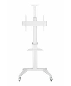 Купить Мобильная стойка для ТВ Digis DSM-P764C, изображение 4 в компании Зеон