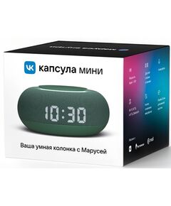 Купить Умная колонка VK Капсула Мини Маруся зел.хвойный 5W 1.0 BT 10м [MRC02SG], изображение 6 в компании Зеон