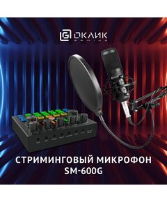 Купить Микрофон проводной Oklick SM-600G 2.5м черный [1796784], изображение 30 в компании Зеон