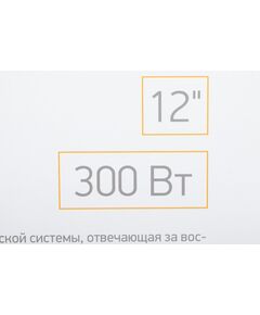 Купить Сабвуфер автомобильный Digma DCS-120 300Вт активный, изображение 15 в компании Зеон