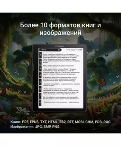 Электронная книга Digma F4 5.83" E-Ink 680x920 Touch Screen 1.2Ghz 1Gb/8Gb/SD/microSDHC/подсветка дисплея черный [F4B] фотографии