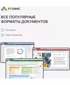 Офисное приложение Р7-Офис Профессиональный. Для бизнеса 1 польз. бессрочно ТП 1г [R7DTB.UI.RT.NGUL0.0823.001BE] фотографии