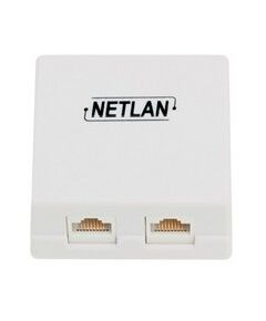 Купить Настенная розетка Netlan EC-UWO-2-UD2-WT-10 2 порта, Кат.5e (Класс D), 100МГц, RJ45/8P8C, 110, T568A/B, неэкранированная, белая, уп-ка 10шт. в компании Зеон