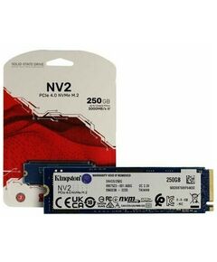 Купить SSD-накопитель Kingston 250 Gb NV2S M.2 2280 M [SNV2S/250G] в компании Зеон