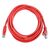 Патч-корд ACD ACD-LPU5E-30R Cat5e UTP 24AWG 4Pair, 7/0.18мм CCA Красный, 3.0м фотографии