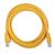 Патч-корд ACD ACD-LPU5E-30Y Cat5e UTP 24AWG 4Pair, 7/0.18мм CCA Желтый, 3.0м фотографии