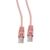 Патч-корд UTP Cablexpert PP12-0.5M/RO кат.5e, 0.5м, литой, многожильный, розовый фотографии