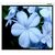 Экраны для проекторов: Экран Lumien Master Picture 120" NTSC MW 183 x 244cm 120", 4:3 [LMP-100110] фотографии